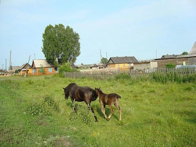д. Туендат.