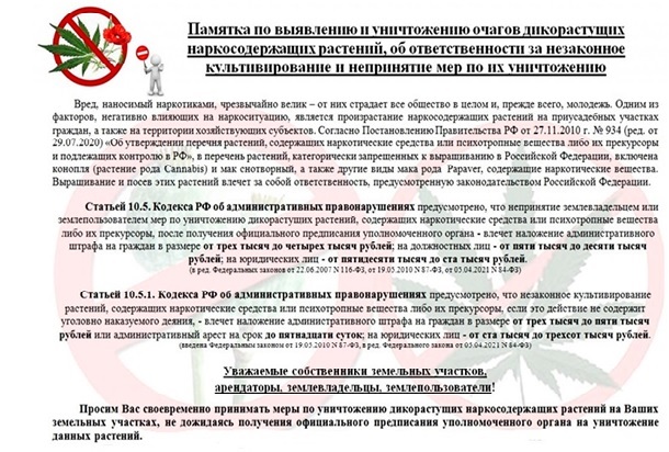 памятка по выявлению и уничтожению очагов дикорастущих наркосодержащих растений. памятка по выявлению и уничтожению очагов дикорастущих наркосодержащих растений.